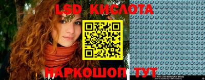 дмт Будённовск