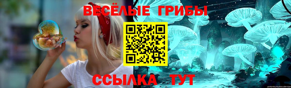 Псилоцибиновые грибы Psilocybe Салават